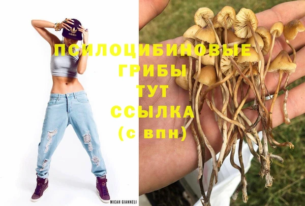 скорость Кукмор