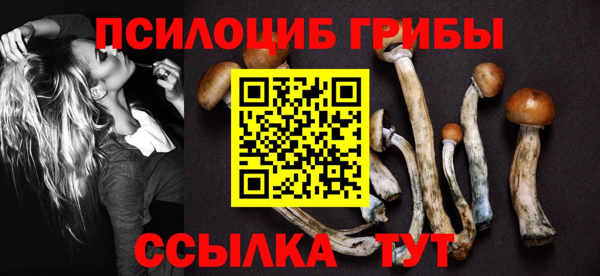 Псилоцибиновые грибы Psilocybine cubensis  Вход с VPN  Кубинка 